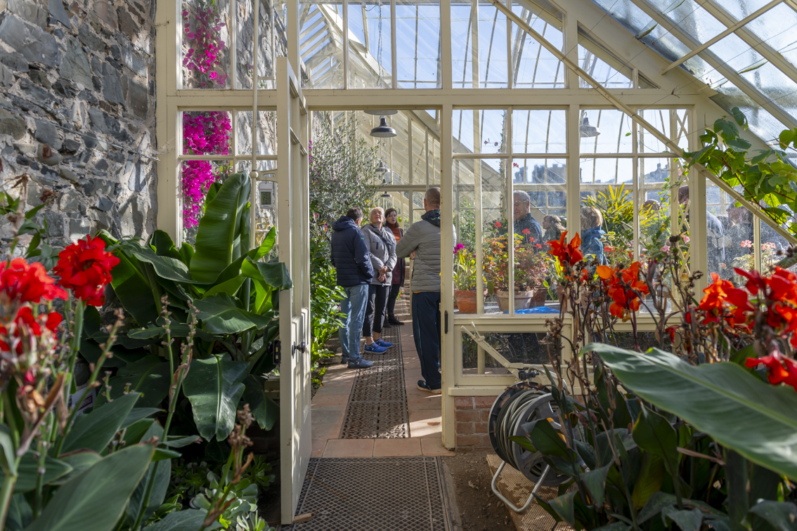 A moment from a guided tour in Ardgillan glasshouse. Photo by Louis Haugh. Courtesy of Irish Architecture Foundation